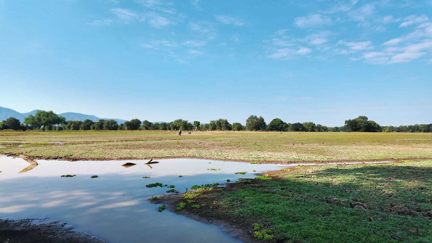 Amazing Safari in Zambia!